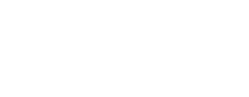 David Salisbury Logo