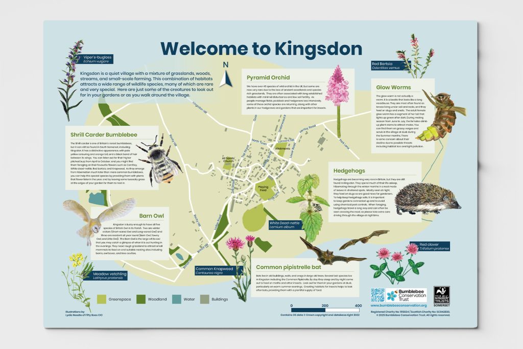 Kingsdon Interpretation-Panel Design for the Bumblebee Conservation Trust in Somerset
