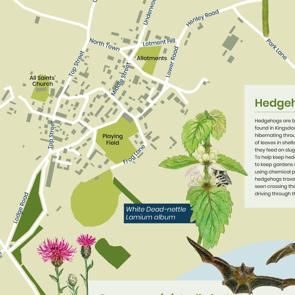 Kingsdon Interpretation-Panel Design for the Bumblebee Conservation Trust in Somerset