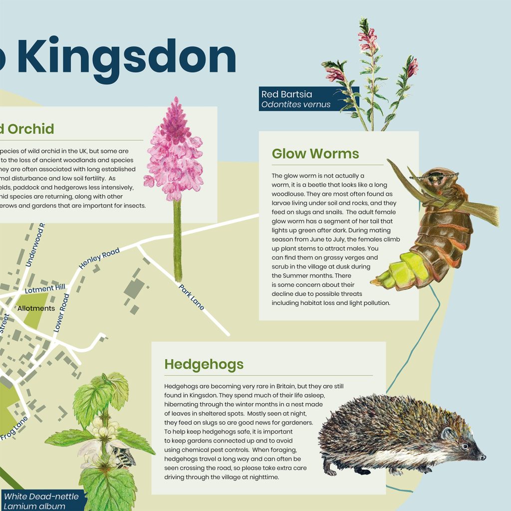 Kingsdon Interpretation-Panel Design for the Bumblebee Conservation Trust in Somerset